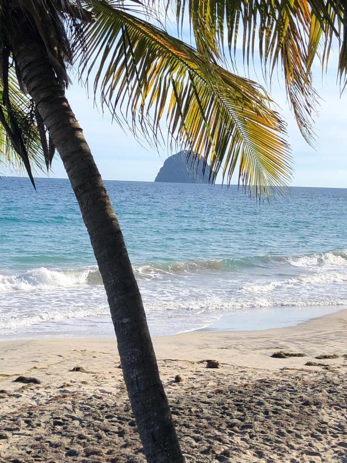 Studio Sainte Anne 2Mn A Pieds De La Plage ,Possibilite Location De Voiture מראה חיצוני תמונה