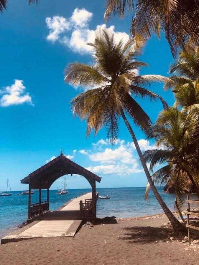 Studio Sainte Anne 2Mn A Pieds De La Plage ,Possibilite Location De Voiture מראה חיצוני תמונה