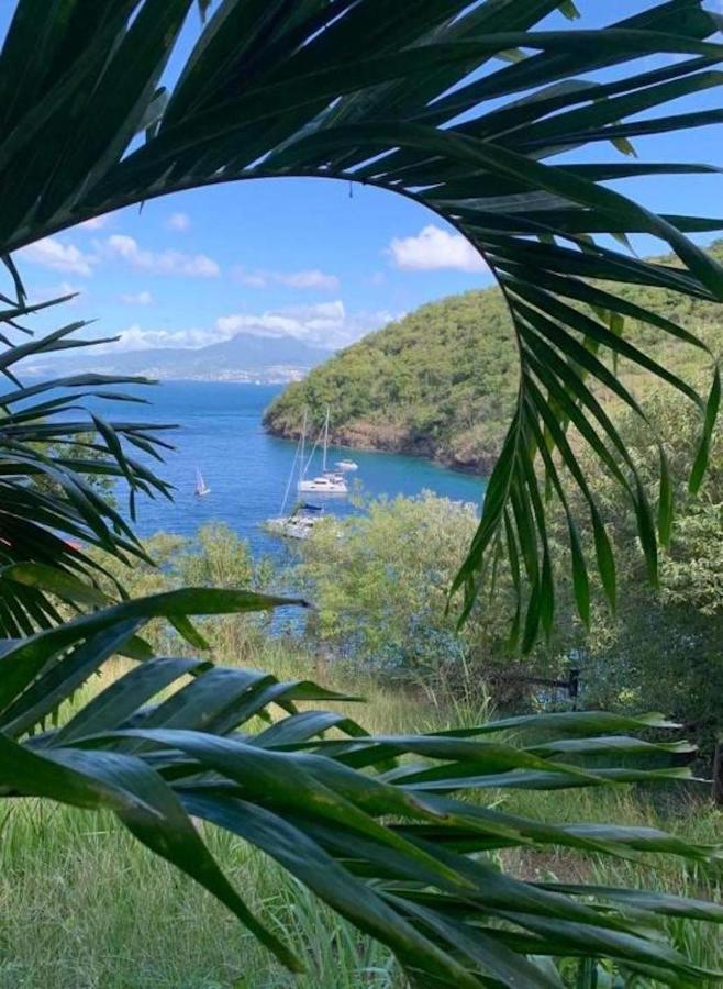 Studio Sainte Anne 2Mn A Pieds De La Plage ,Possibilite Location De Voiture מראה חיצוני תמונה